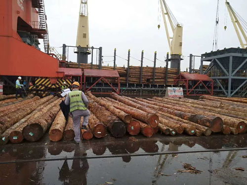 介绍建筑木方褶皱是怎么形成的