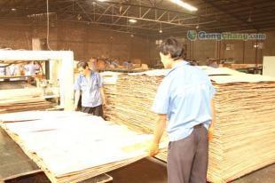 厂家经销河北廊坊金亨牌915*1830建筑木模板 15620997913_建筑建材_世界工厂网中国产品信息库